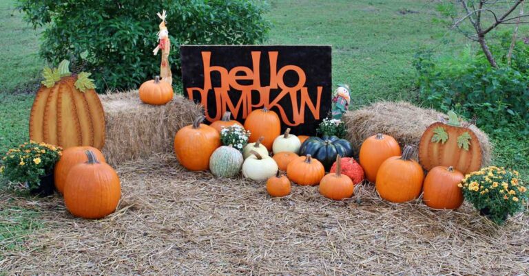 The Ultimate Fall Bucket List for Florida