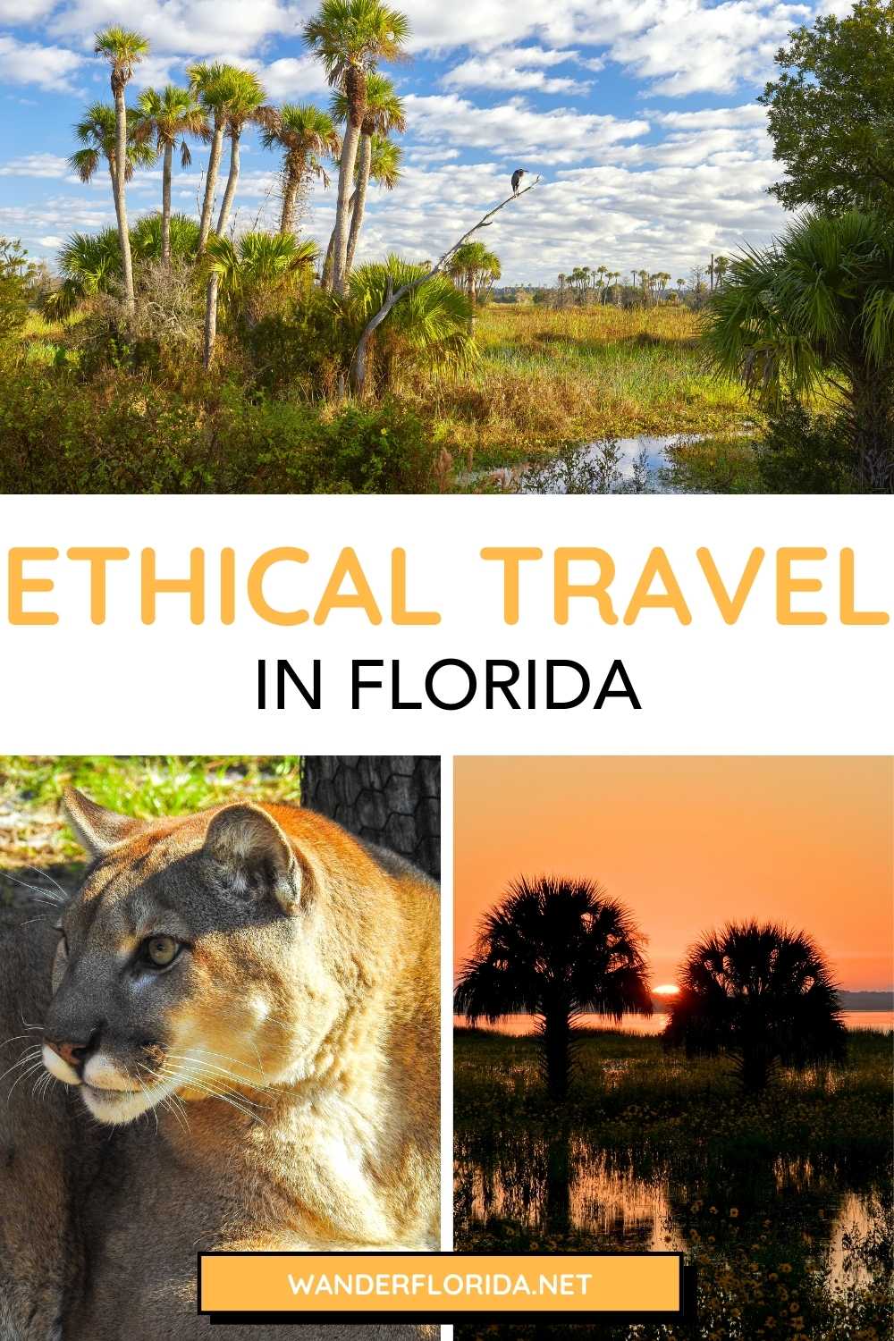 Ethical Florida Travel - 7 Ways to be a Responsible Visitor