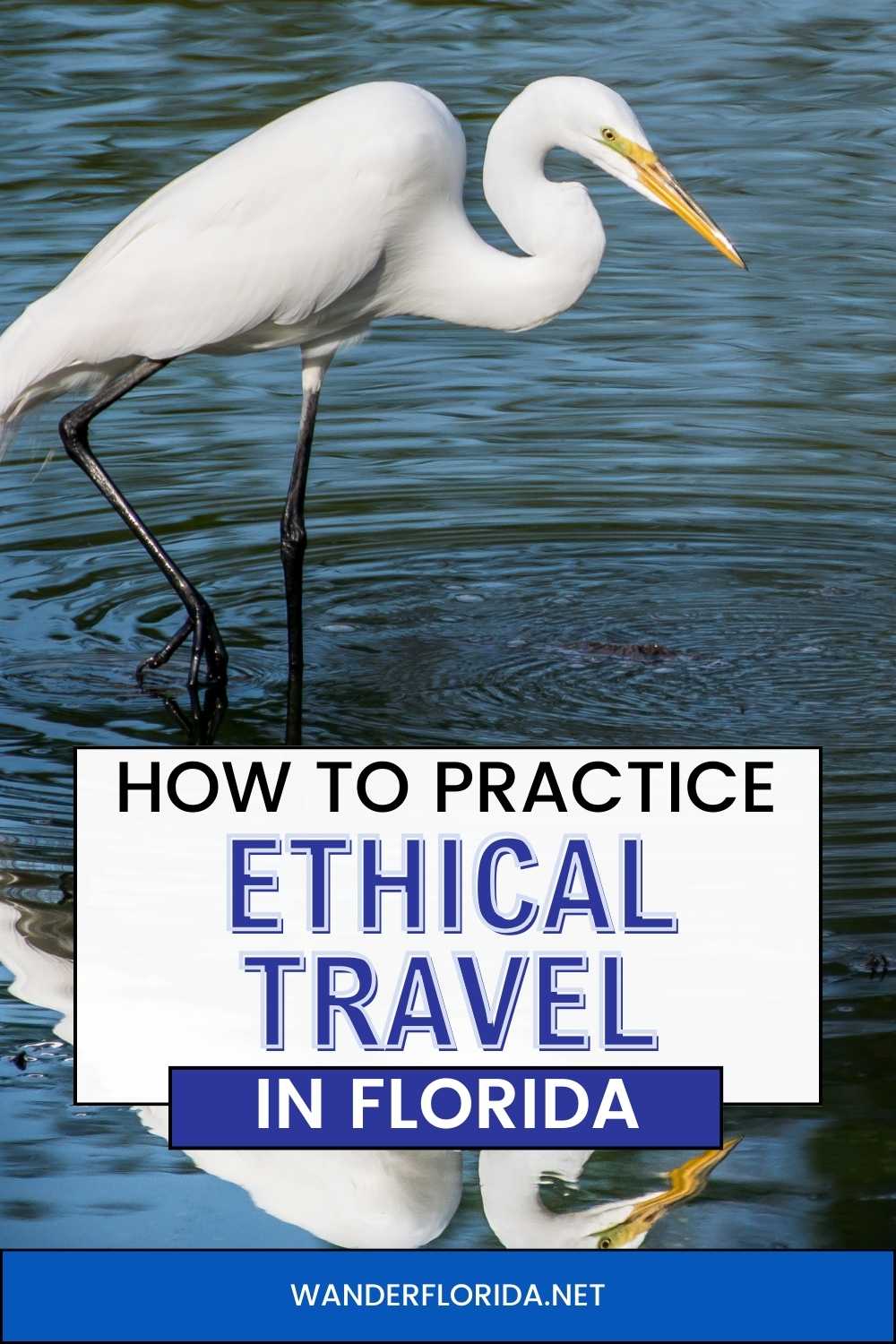 Ethical Florida Travel - 7 Ways To Be A Responsible Visitor - Wander ...