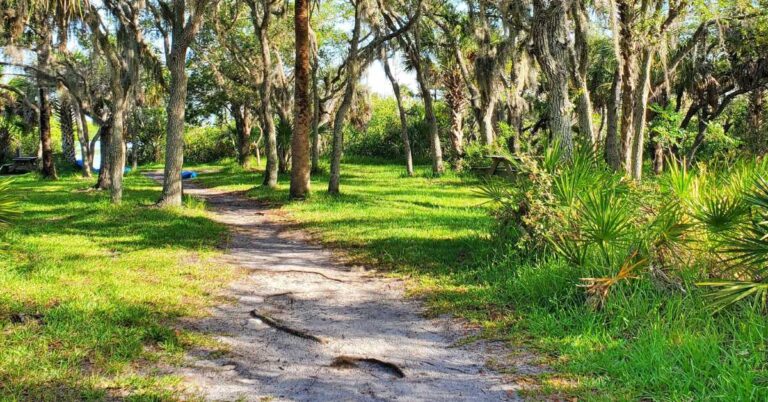 Top 10 Historic Hiking Trails in Florida State Parks