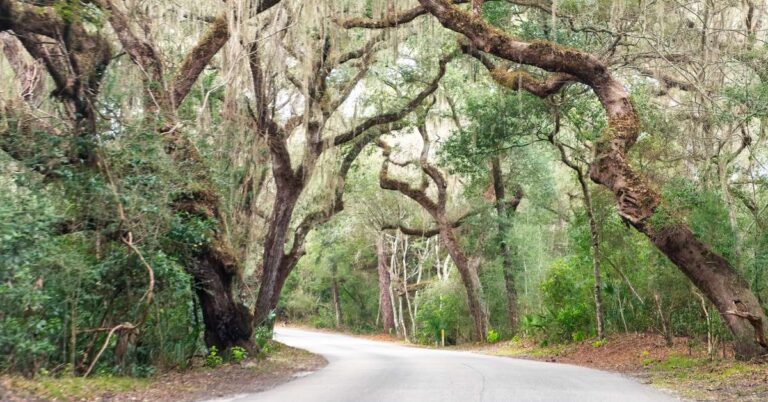 Exploring My 7 Favorite Historic State Parks in Florida