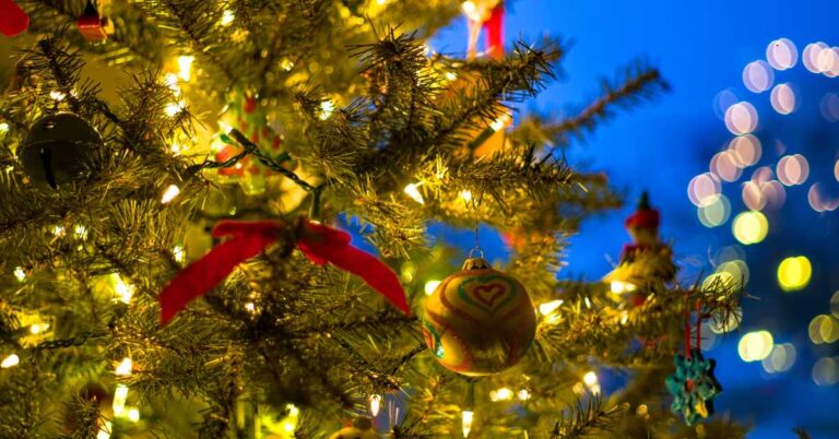 Holiday Events at Florida State Parks in 2024