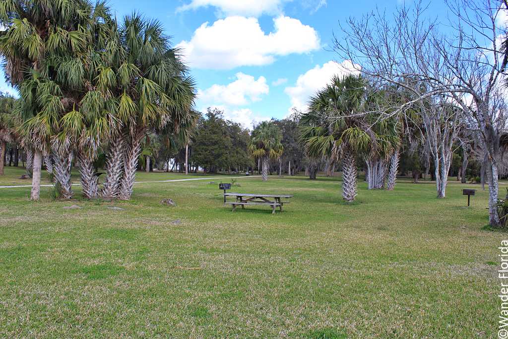 Visiting the Native American Mounds in Crystal River 9 View of Crystal River SP from River