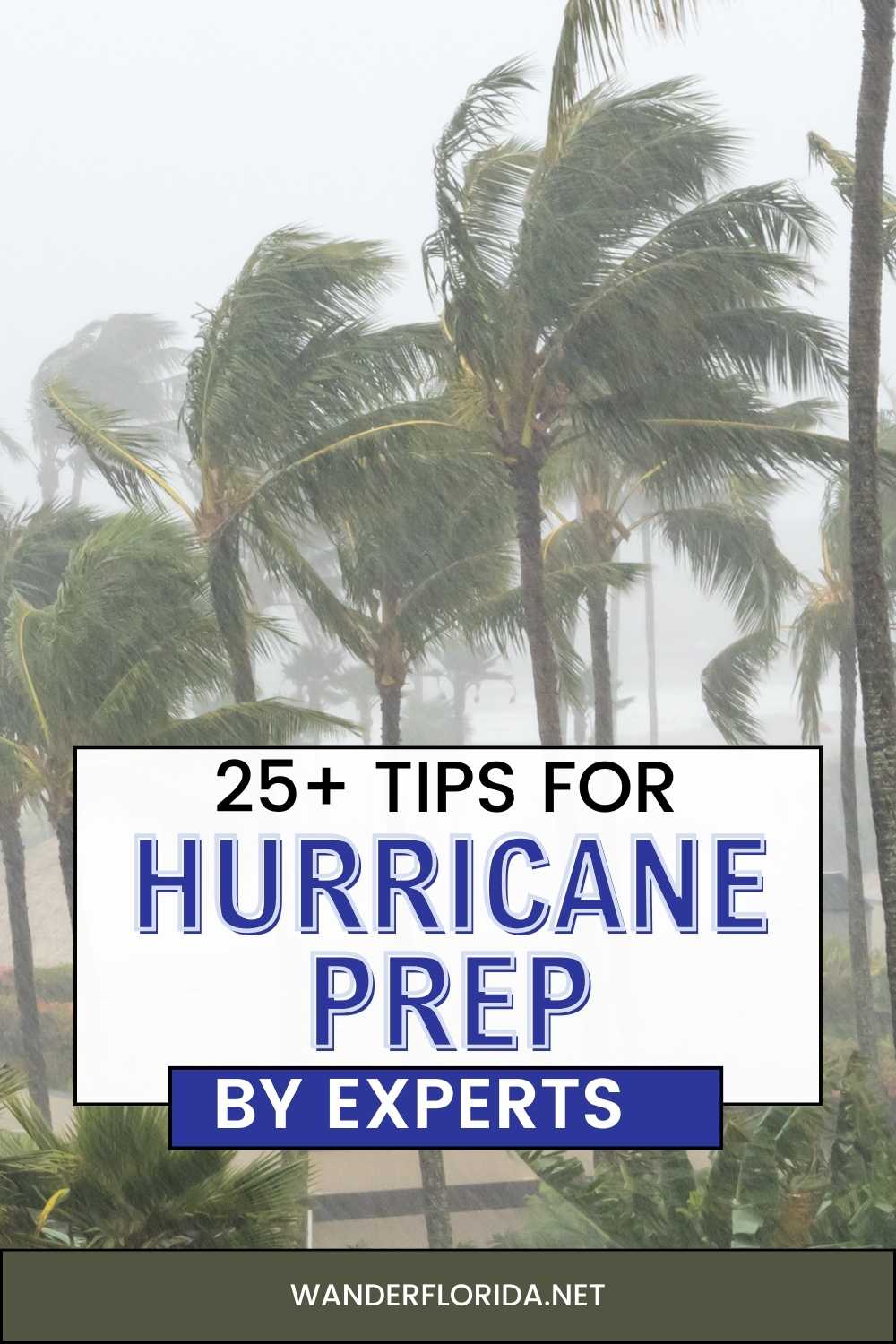 25+ Expert Hurricane Preparedness Tips for Your Home, Family, and Property 5 25+ Expert Hurricane Preparedness Tips for Your Home, Family, and Property