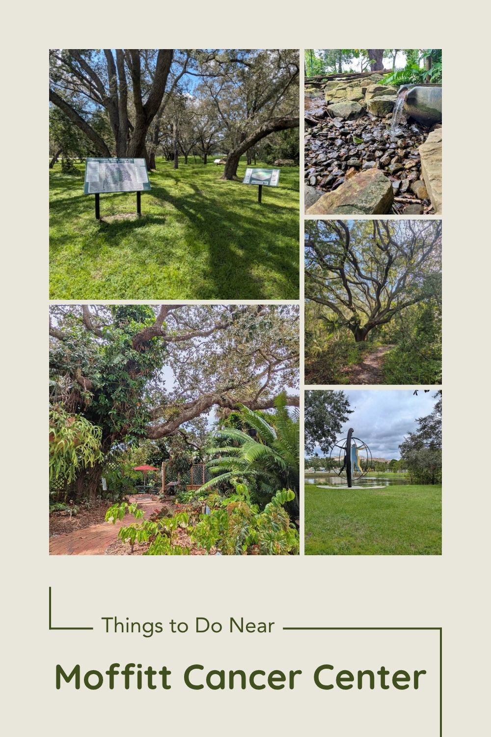 Things to Do Near Moffitt Cancer Center at USF