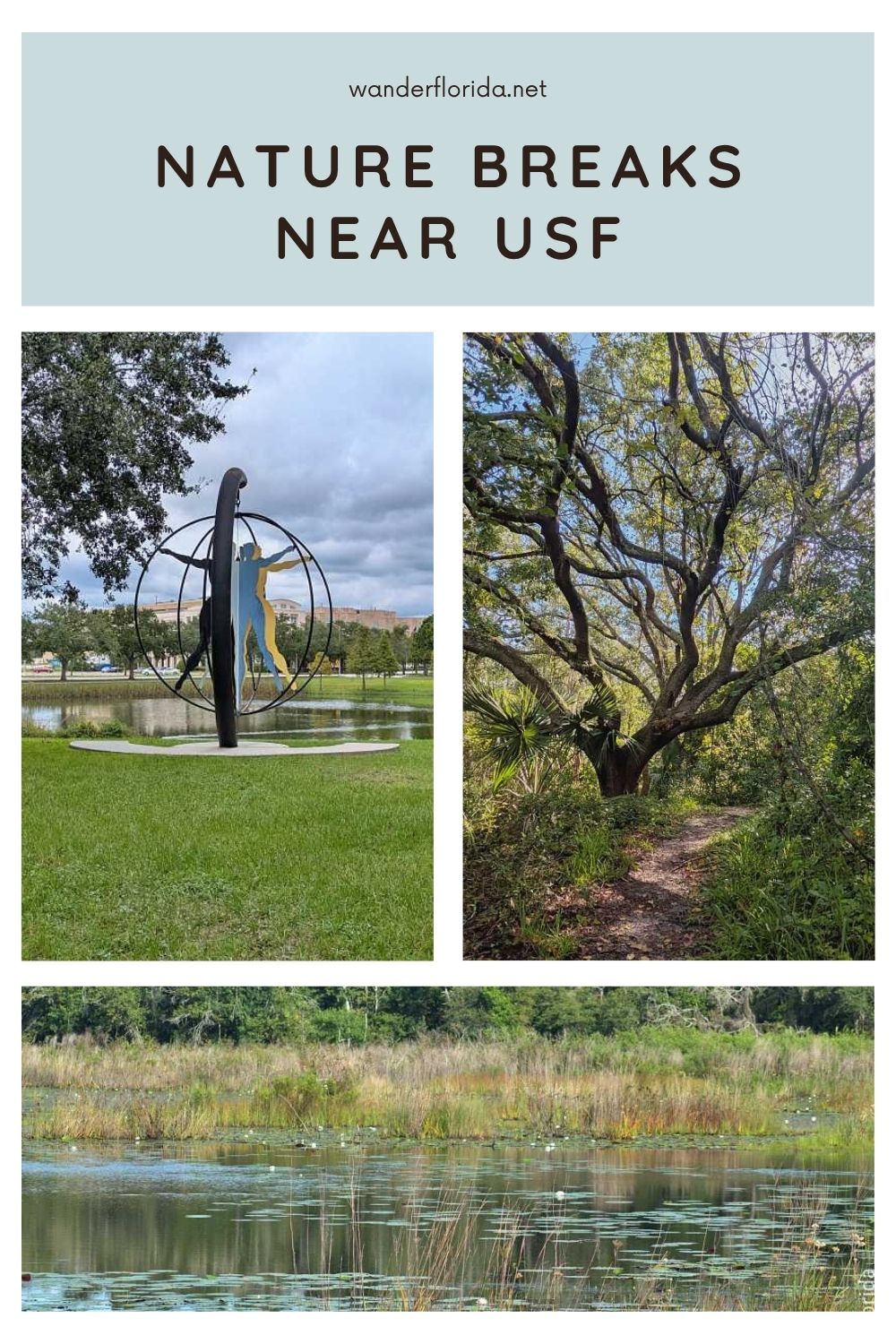 Things to Do Near Moffitt Cancer Center at USF