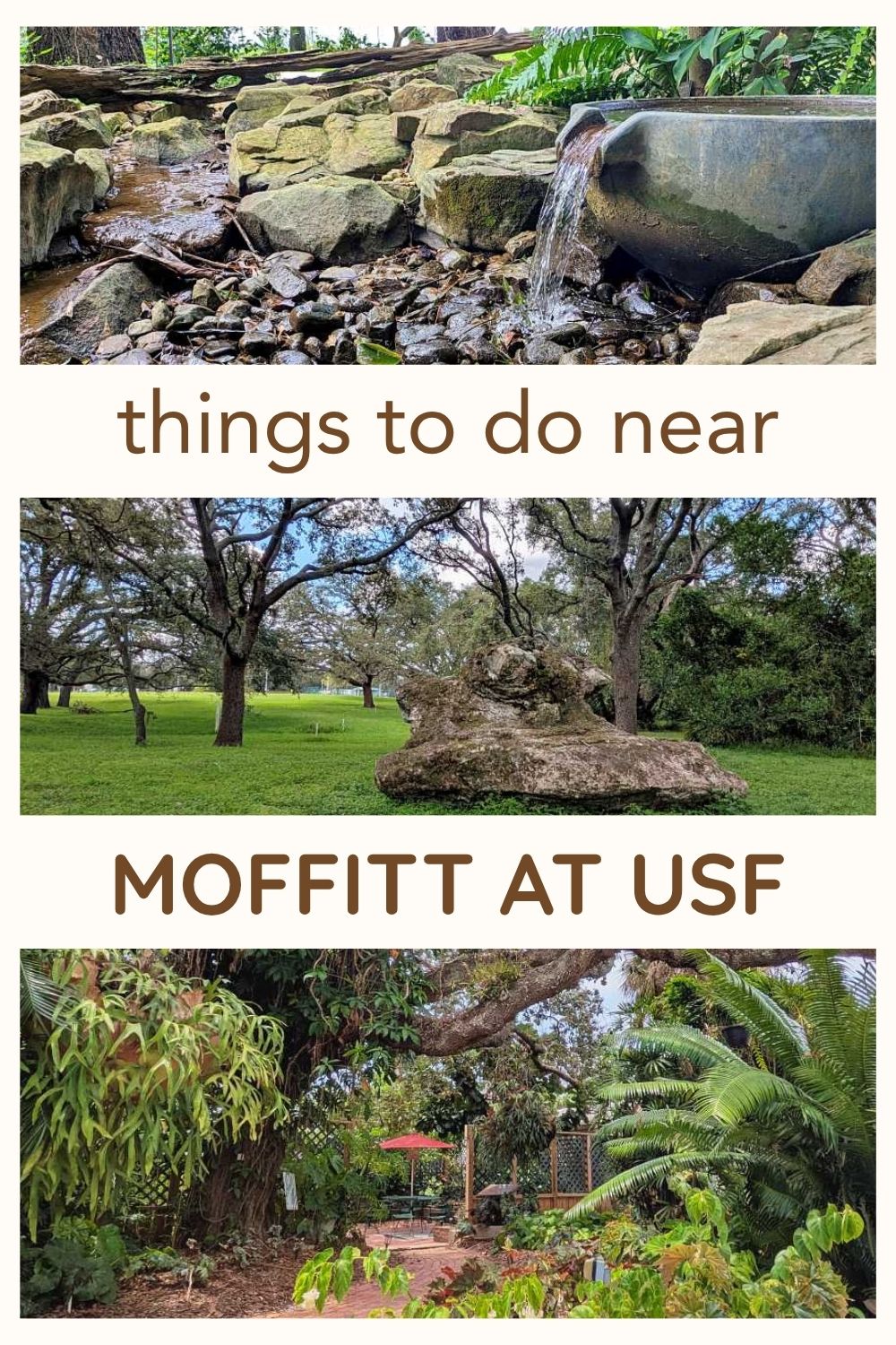 Things to Do Near Moffitt Cancer Center at USF