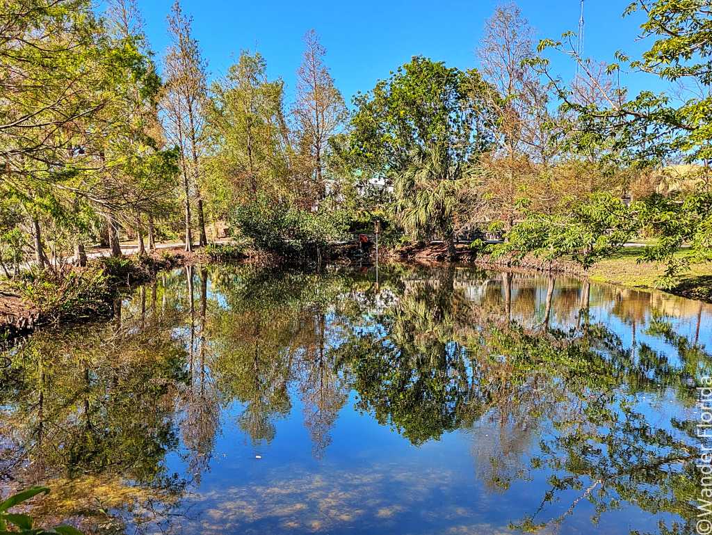 Clear pond reflects tall trees and blue sky on a sunny day, surrounded by lush greenery. Peaceful, nature-filled setting evokes calm.