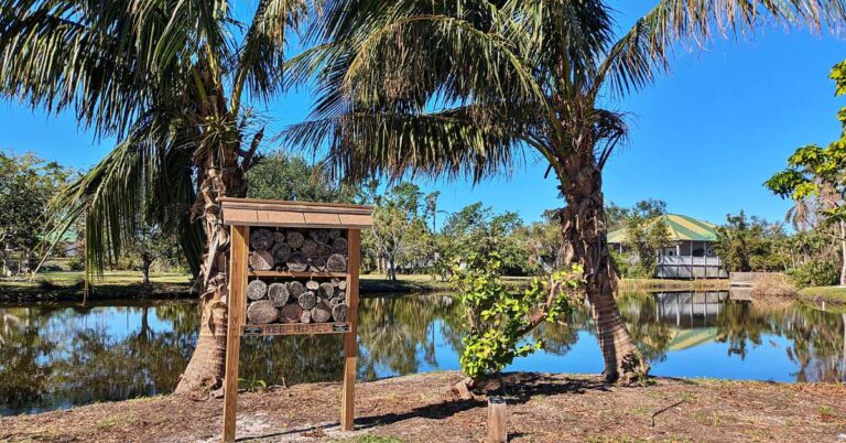 Palma Sola Botanical Park: A Free Garden Worth Finding in Bradenton 1 Palma Sola Botanical Park: A Free Garden Worth Finding in Bradenton