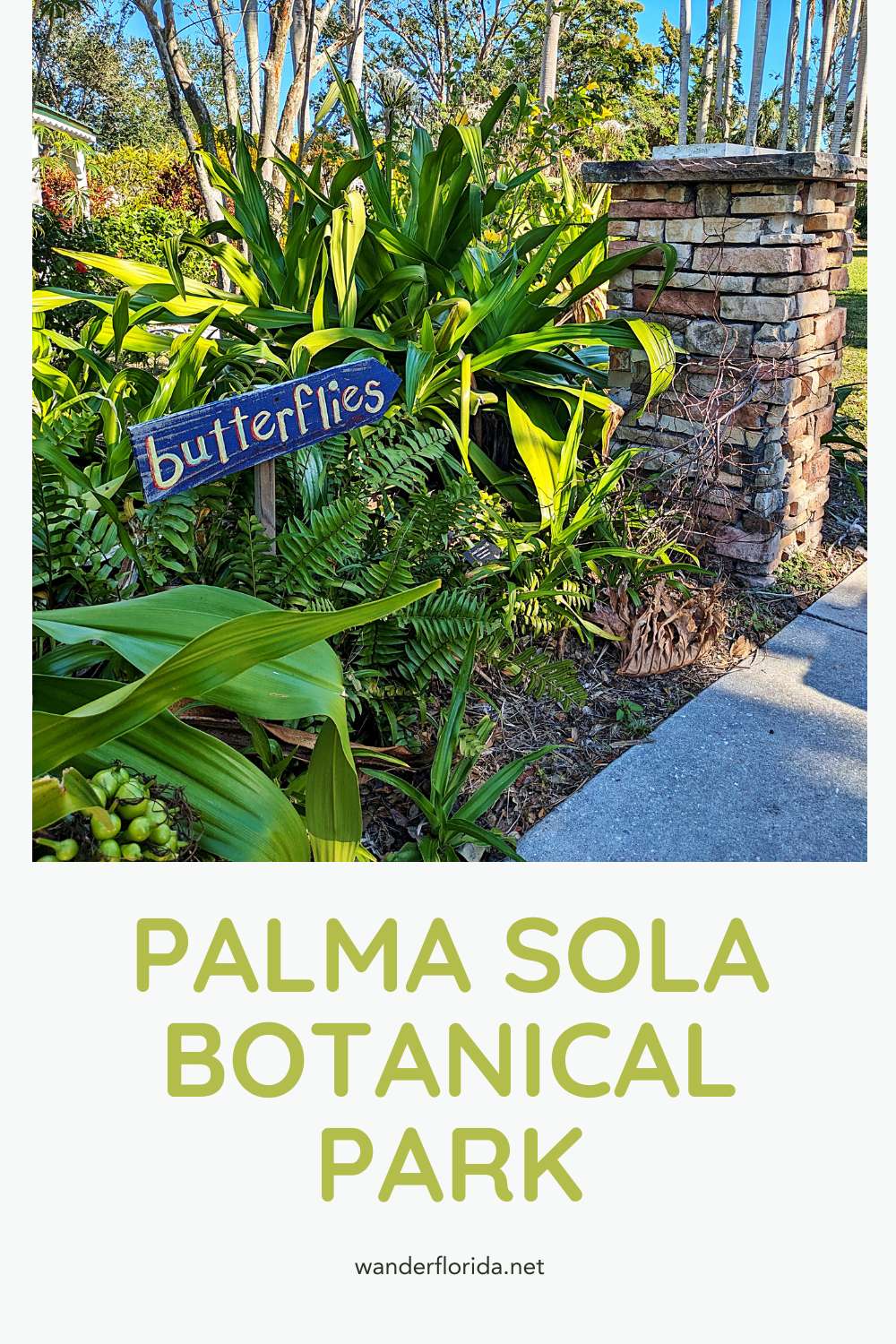 Palma Sola Botanical Park: A Free Garden Worth Finding in Bradenton