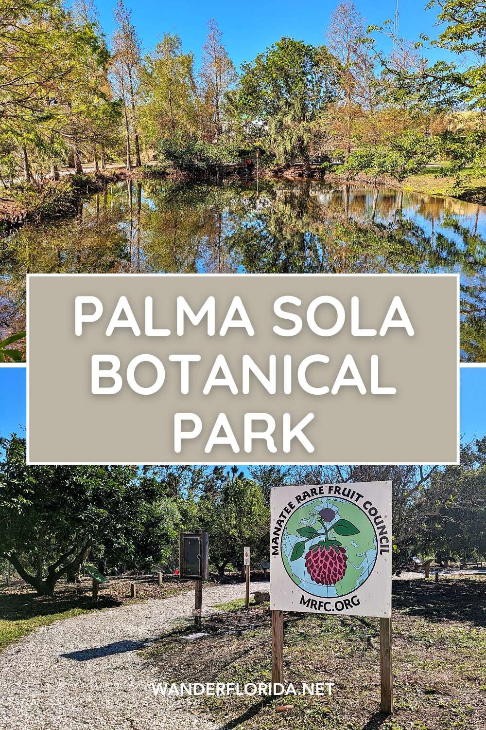 Palma Sola Botanical Park: A Free Garden Worth Finding in Bradenton
