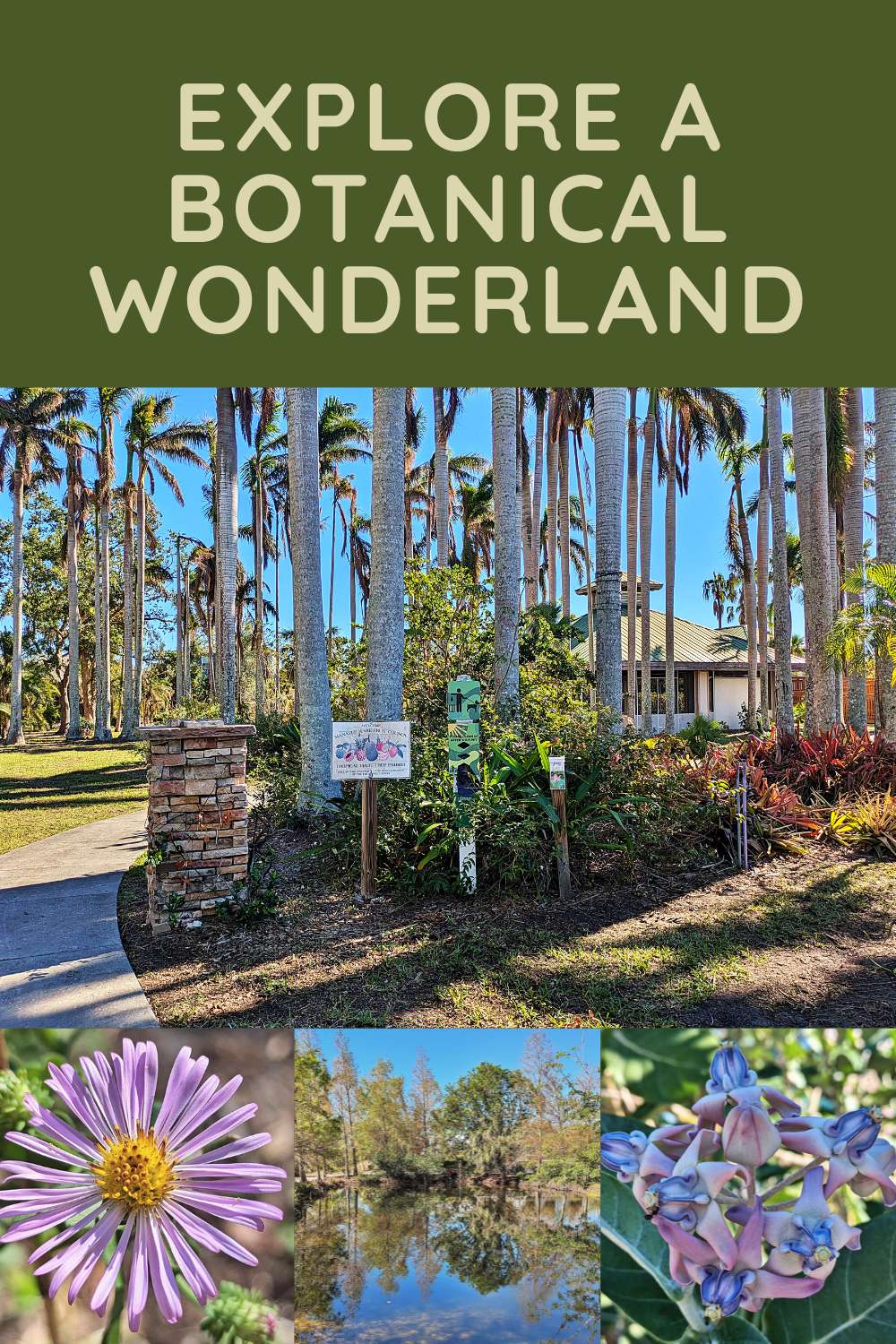 Palma Sola Botanical Park: A Free Garden Worth Finding in Bradenton
