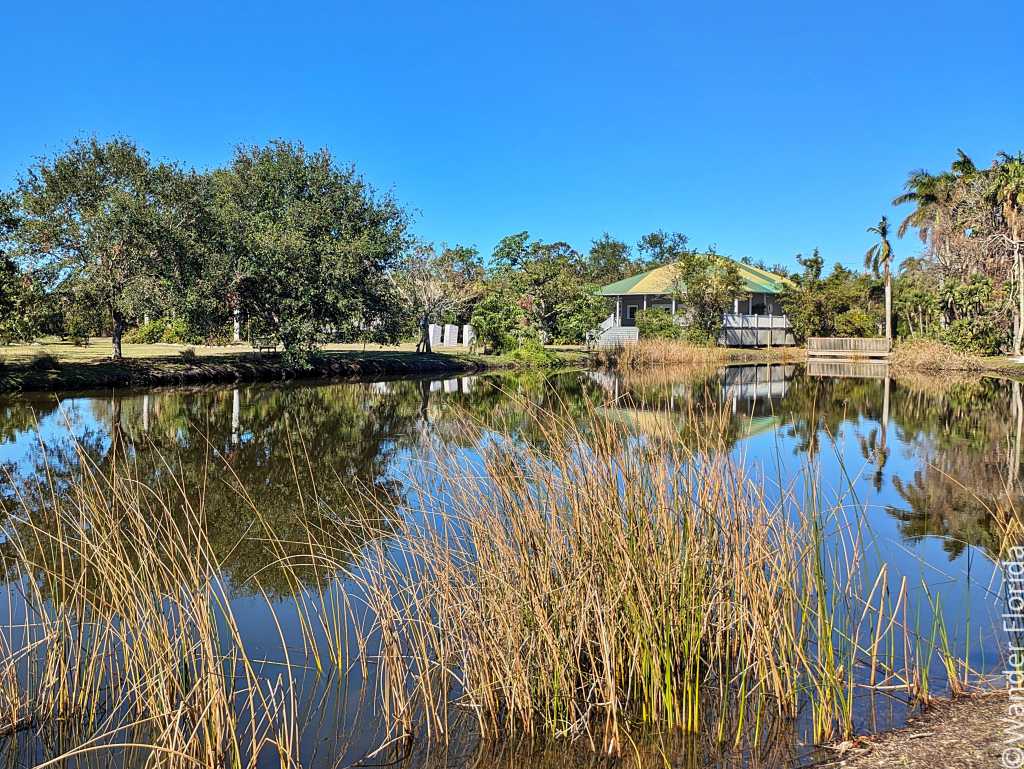 Serene pond with tall grasses in the foreground, reflecting a lush landscape and a quaint house under a clear blue sky, evoking tranquility.