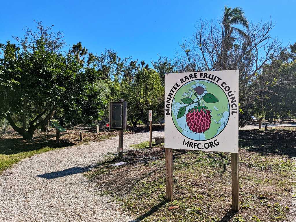A sign marks the entrance to the Manatee Rare Fruit Council's garden, featuring fruit imagery. A sunny path winds through lush, green trees.