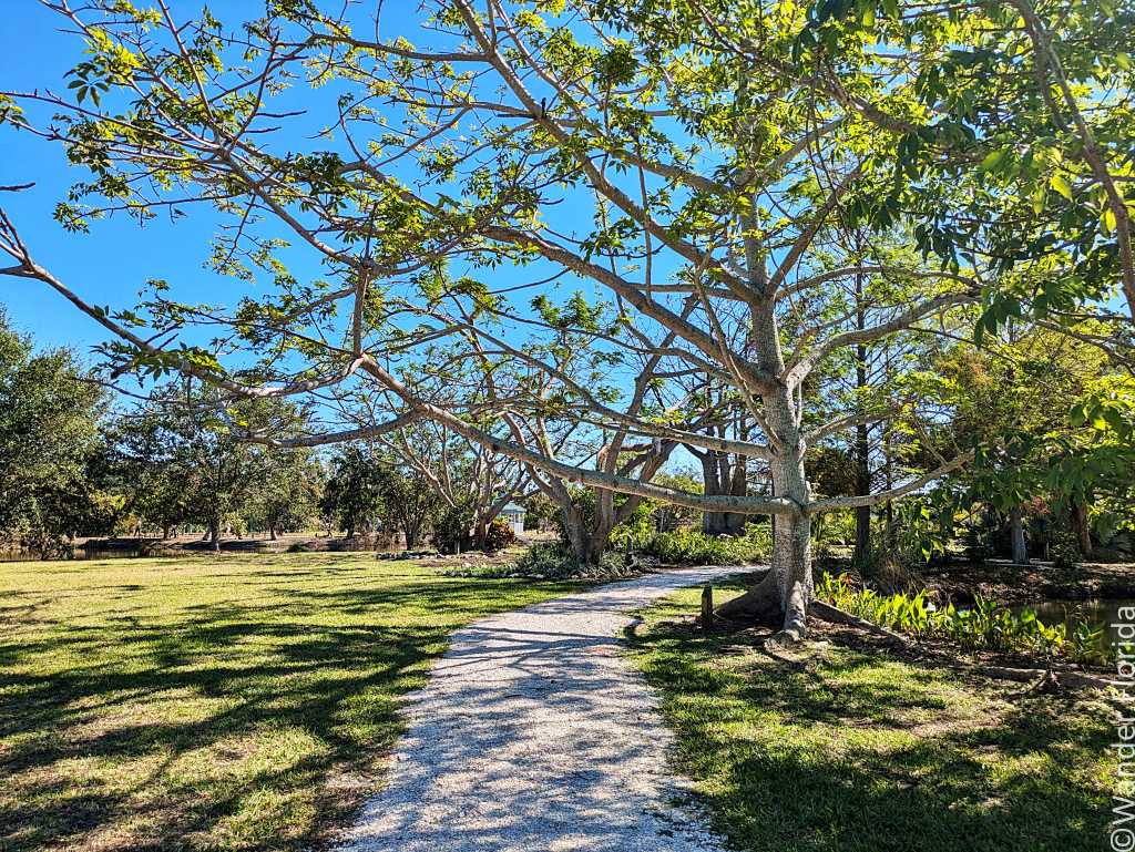 A serene park scene with a winding gravel path shaded by a large, leafy tree under a clear blue sky. The setting is peaceful and inviting.
